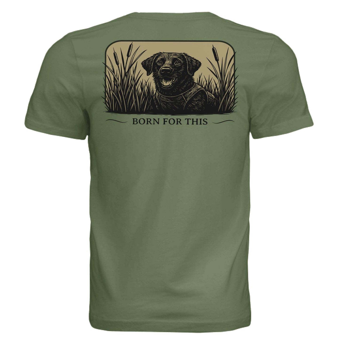 OLIVE - BACK