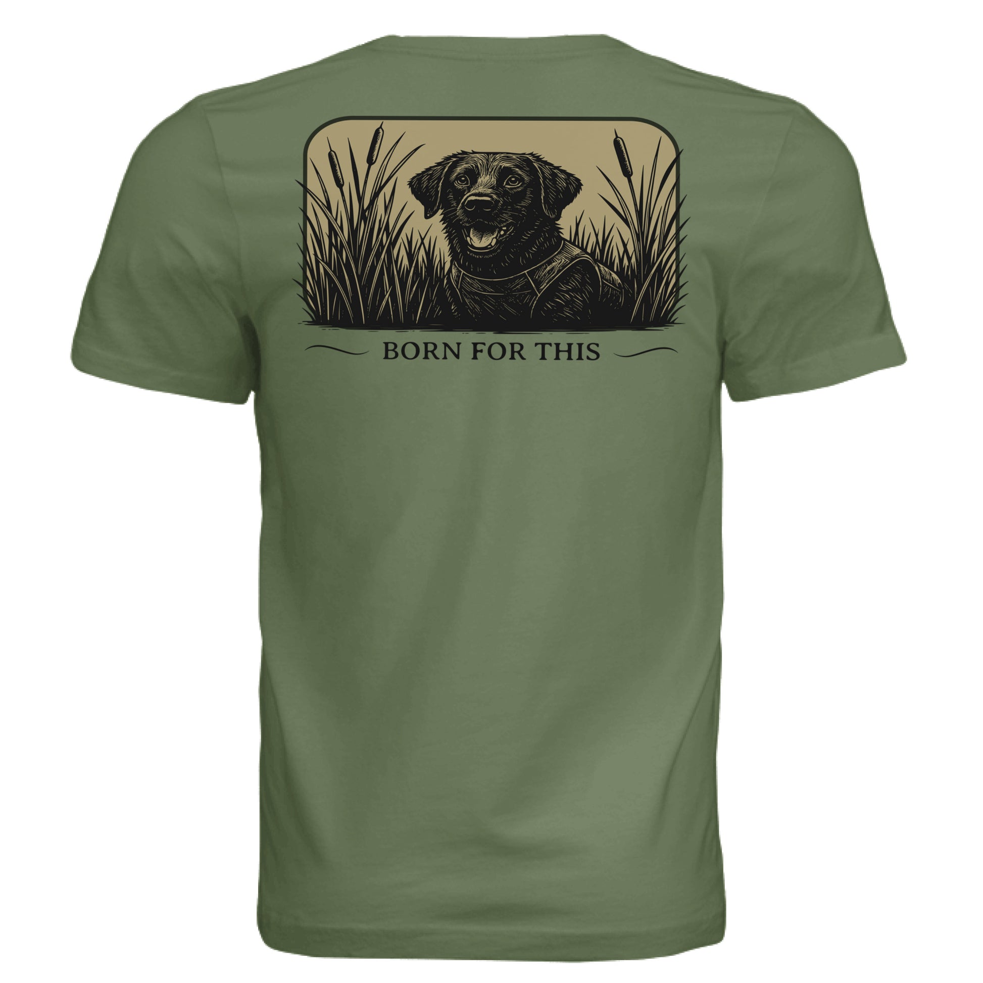 OLIVE - BACK