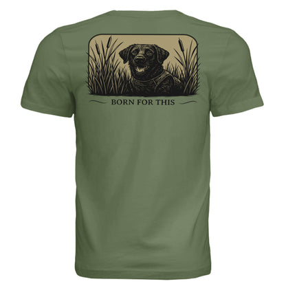 OLIVE - BACK