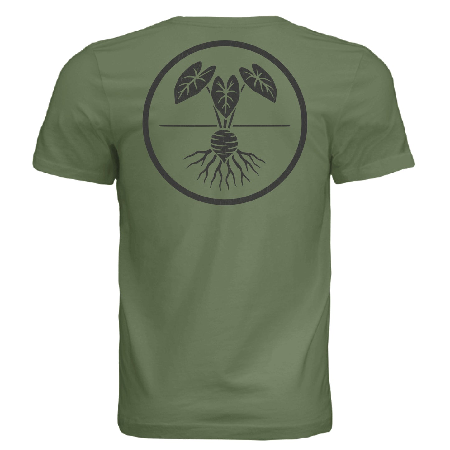 OLIVE - BACK