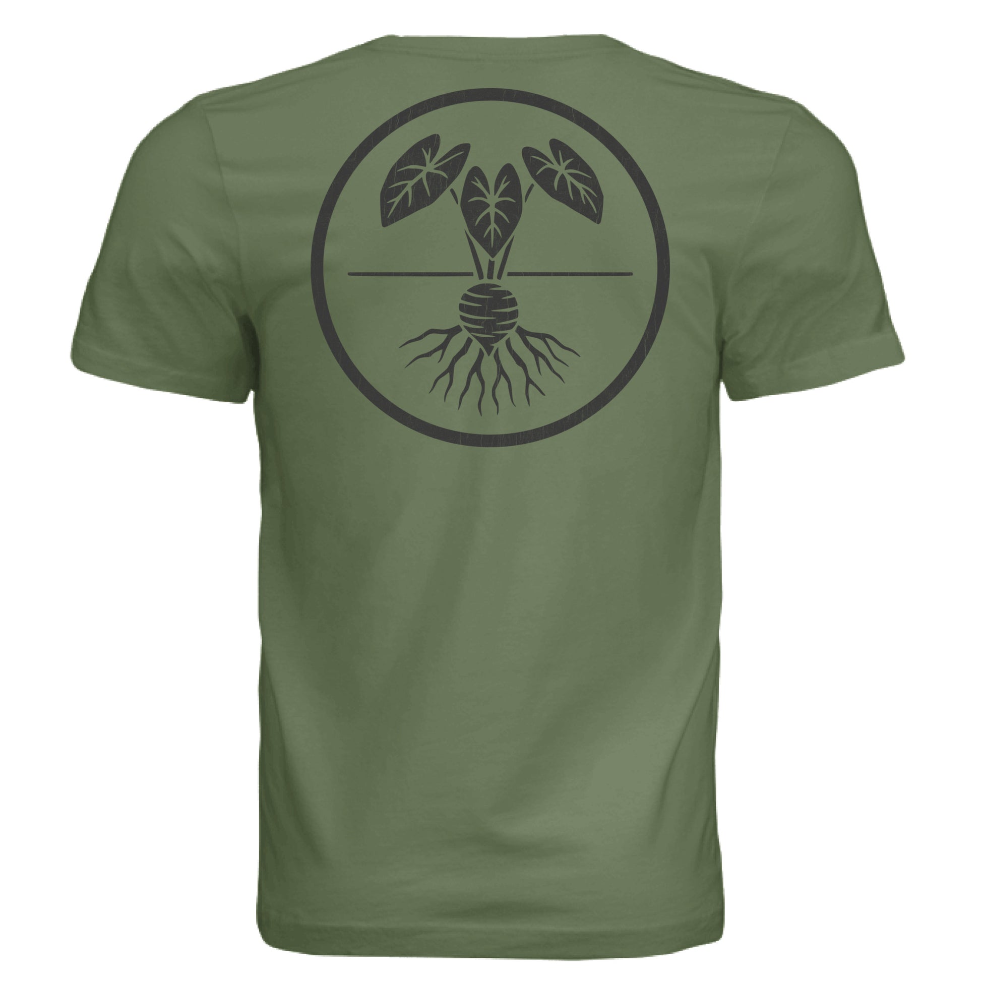 OLIVE - BACK